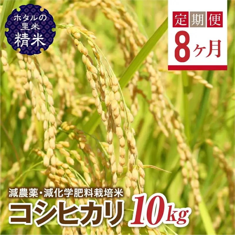  ＜定期便8ヶ月＞【ホタルの里米】環境に配慮し農薬を減らした栽培米 コシヒカリ精米10kg  F4D-2298