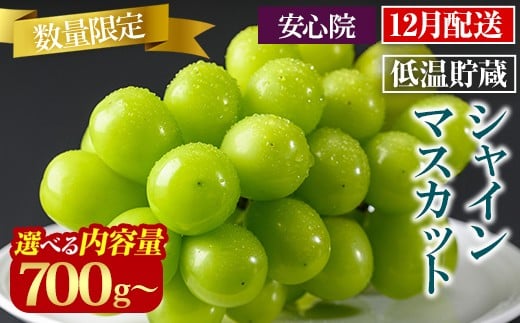 
             貯蔵シャインマスカット ＜選べる容量 (700g～5kg)＞＜先行予約受付中 2025年12月上旬から順次発送予定＞＜北海道 沖縄 離島配送不可＞ ぶどう 葡萄 【106301000・106301100・106301200・106301300】【大分県農業協同組合　北部エリア】
          