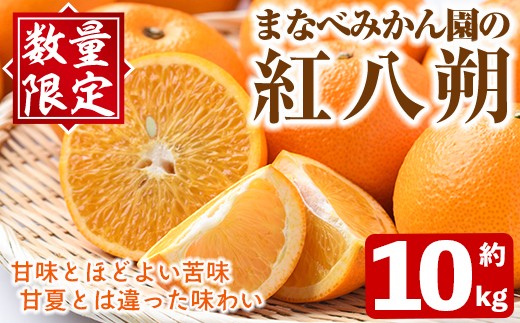 
                  ＜先行予約受付中！2027年2月上旬以降順次発送予定＞まなべみかん園の紅八朔(約10kg) 国産 鹿児島県産 阿久根市産 柑橘類 みかん ミカン 蜜柑 果物 フルーツ べにはっさく 期間限定 数量限定 贈答用 ギフト デザート【有限会社まなべみかん園】akn034-05
                