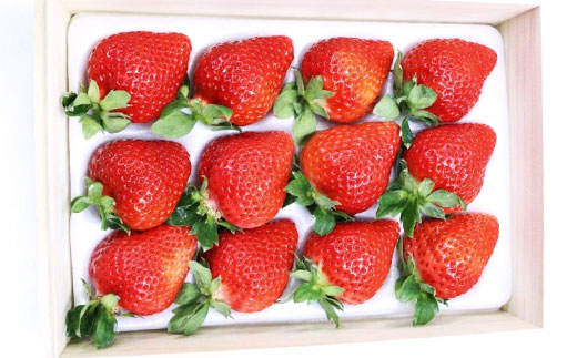 3LA3 ティッシュボックス用特別仕様の桐箱入りプレミアムあまおう　あまおうEX400g×1パック