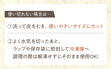【先行予約】リピーター続々！白石町のれんこん！ 洗いれんこん【真空パックれんこん】約1.5kg /新鮮なれんこんを産地直送！ 佐賀 白石れんこん 洗いれんこん シャキシャキ・ホクホクの甘いれんこん  