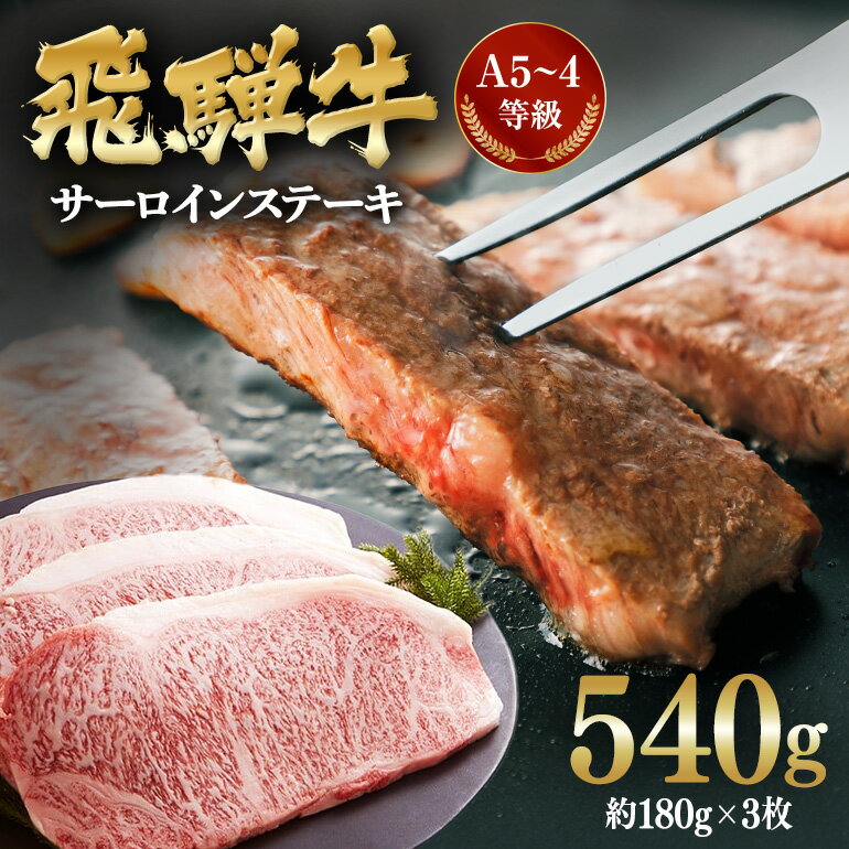 【ふるさと納税】 飛騨牛A5~4等級 サーロインステーキ3枚(約180g×3枚)│国産 牛肉 和牛 ブランド すてーき C-2/A-8