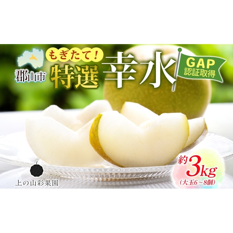 特選 幸水 約3kg 大玉 6～8個 なし 梨 ナシ もぎたて 甘い 旬 果物 GAP 認証 産地直送 贈り物 贈答用 送料無料 上の山 彩果園 うえのやま さいかえん  福島県 郡山市