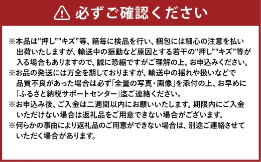 ご家庭用シャインマスカット晴王 約400g×2房