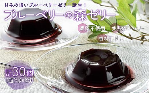 ＜甘みの強いブルーベリーゼリー誕生！＞ブルーベリーの森ゼリー30個 ふるさと納税 ブルーベリー ゼリー コラーゲン スイーツ おやつ 美容 健康 千葉県 木更津 送料無料 KT003