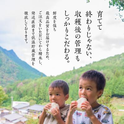 ふるさと納税 下呂市 (2026年11月から順次発送)新米【2026年産】コシヒカリ 米 5kg×1袋【28-3】 |  | 01