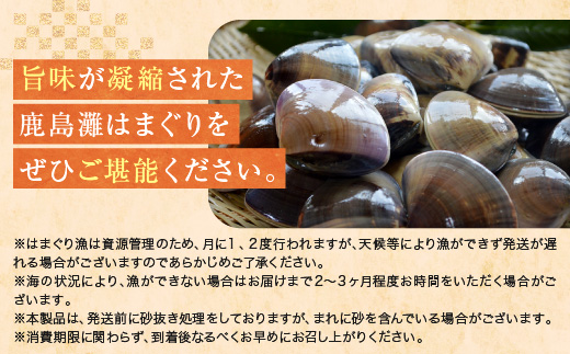 大洗産鹿島灘天然はまぐり 5㎏ 冷蔵 お吸い物 ハマグリ 蛤 貝 砂抜き処理 魚介類 大洗産 天然 はまぐり