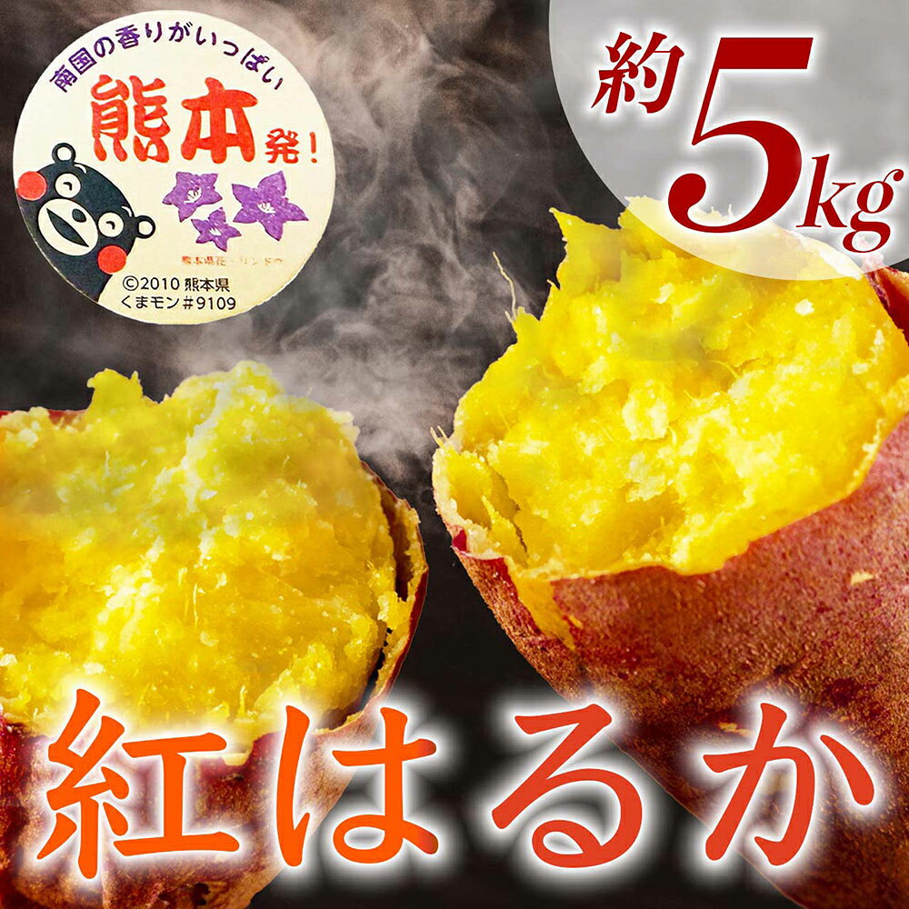 【ふるさと納税】 紅はるか 約5kg（9～37個） さつまいも サツマイモ さつま芋 いも イモ 芋 野菜 熊本県産 国産 九州 熊本県 送料無料 【2027年2月上旬から6月下旬発送予定】