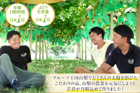 【期間限定発送】ぶどう 山梨県産 シャインマスカット1kg以上 2房  [株式会社えべし 山梨県 中央市 21470877] フルーツ 果物 くだもの ブドウ シャイン マスカット 葡萄 期間限定 季