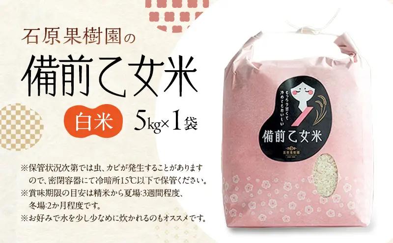 米 令和8年産 石原果樹園の備前乙女米 白米 5kg×1袋 ※11月上旬～順次発送予定 お米 精米 白米 ライス  乳酸菌栽培 岡山県 おにぎり お弁当