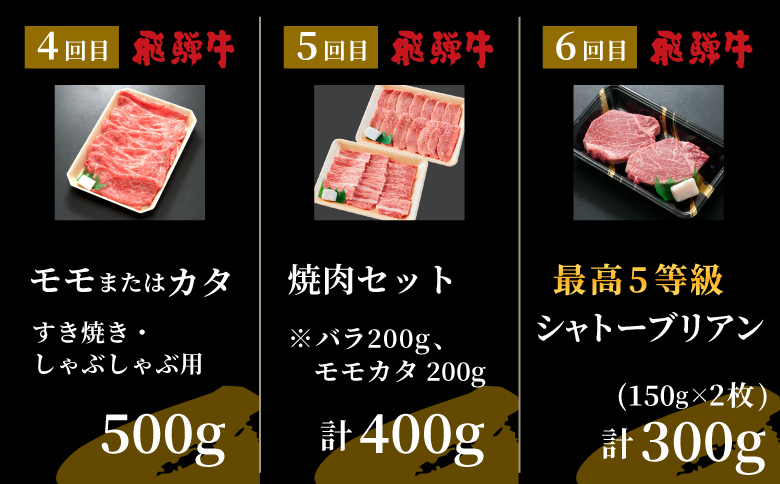 飛騨牛 5等級シャトーブリアン入り 極上6回定期便 すき焼き しゃぶしゃぶ ステーキ 焼肉 BBQ モモ カタ ロース 肩ロース カタロース カルビ シャトーブリアン 希少部位 贅沢 6ヶ月 定期 定