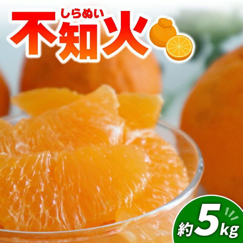【ふるさと納税】 不知火 5kg 【2027年3月頃から順次発送】 | みかん 愛媛 松山 フルーツ 果物 くだもの 数量限定 期間限定 送料無料 柑橘 みかん フルーツ 果物 みかん