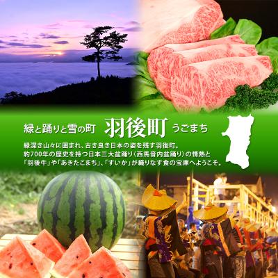 ふるさと納税 羽後町 つぶマスタード(パウチタイプ)200g×2本[No.5325-7010] |  | 01