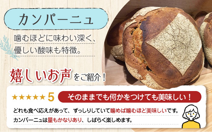 【11月中旬～5月頃まで順次発送】「石窯パン詰め合わせBセット」とEVオリーブオイル「能美島ブレンド マイルド100ml」セット パン オリーブオイル 油 朝食 おやつ 江田島市/しまのぱんsouda