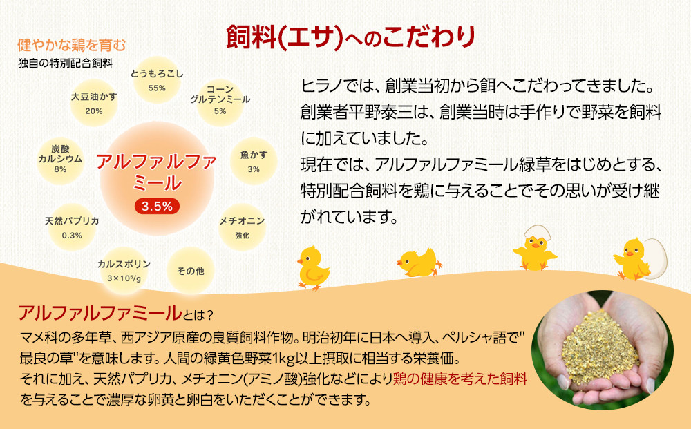 ヒラノのたまご【輝黄卵(きおうらん)】赤Mサイズ10kg(160個前後)