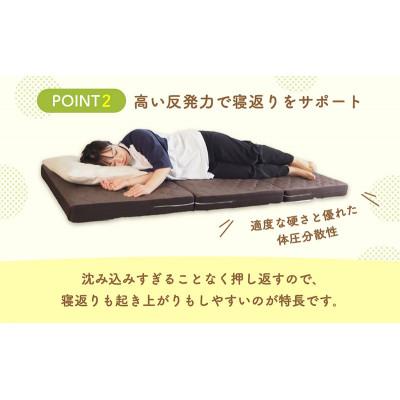 ふるさと納税 豊郷町 アキレスぷちスリム セミシングル グリーン 厚さ12cm高反発マットレス三つ折り[53820555] |  | 02