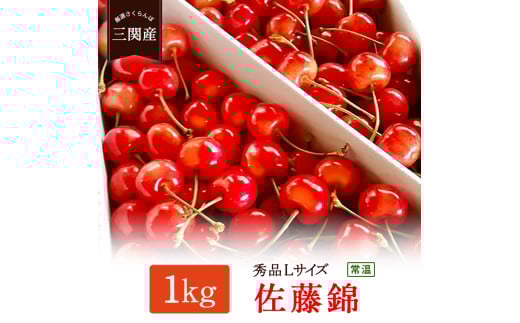 
            ＼朝採れ 産地直送／ R7年度産 佐藤錦 秀 L 1kg 市場価値の高い 三関産 さくらんぼ こだわりの【常温】でお届け 家庭用 フルーツ 果物 お取り寄せ 秋田 湯沢市 期間限定 サクランボ[H2801]
          