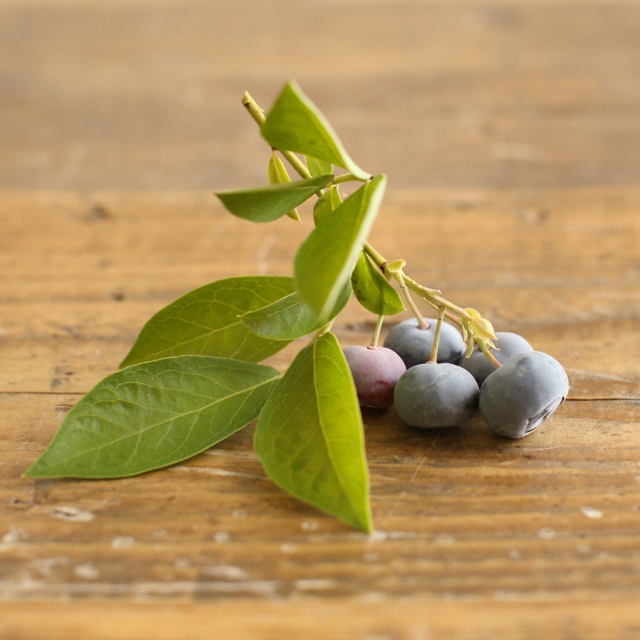 冷凍ブルーベリー1kg