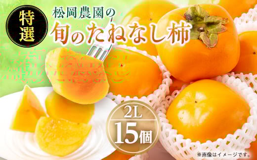 
            ＜2025年秋より順次発送＞旬のたねなし柿　特選2Lサイズ(15個入り)【1512962】
          
