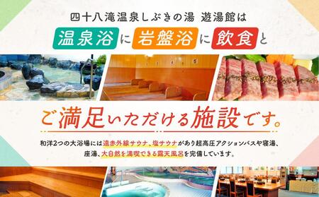 四十八滝温泉しぶきの湯遊湯館 入浴回数券12枚綴り 飛騨国府観光株式会社 EL002