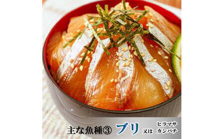 【12ヶ月 定期便】魚かつ自家製　山口の海鮮漬け丼(はまち、ひらまさ、マグロ系等)4種×各2パック入 酒の肴に海鮮丼に茶漬けに飯ともに