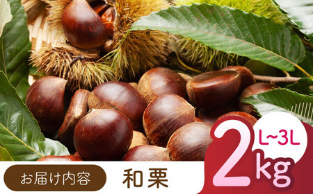 先行予約 和栗L~3L約2kg(約1kg×2袋) 熊本山鹿和栗ZEP058
