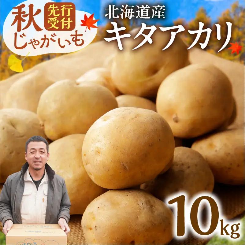 じゃがいも キタアカリ 10kg ジャガイモ_S041-0008-2026