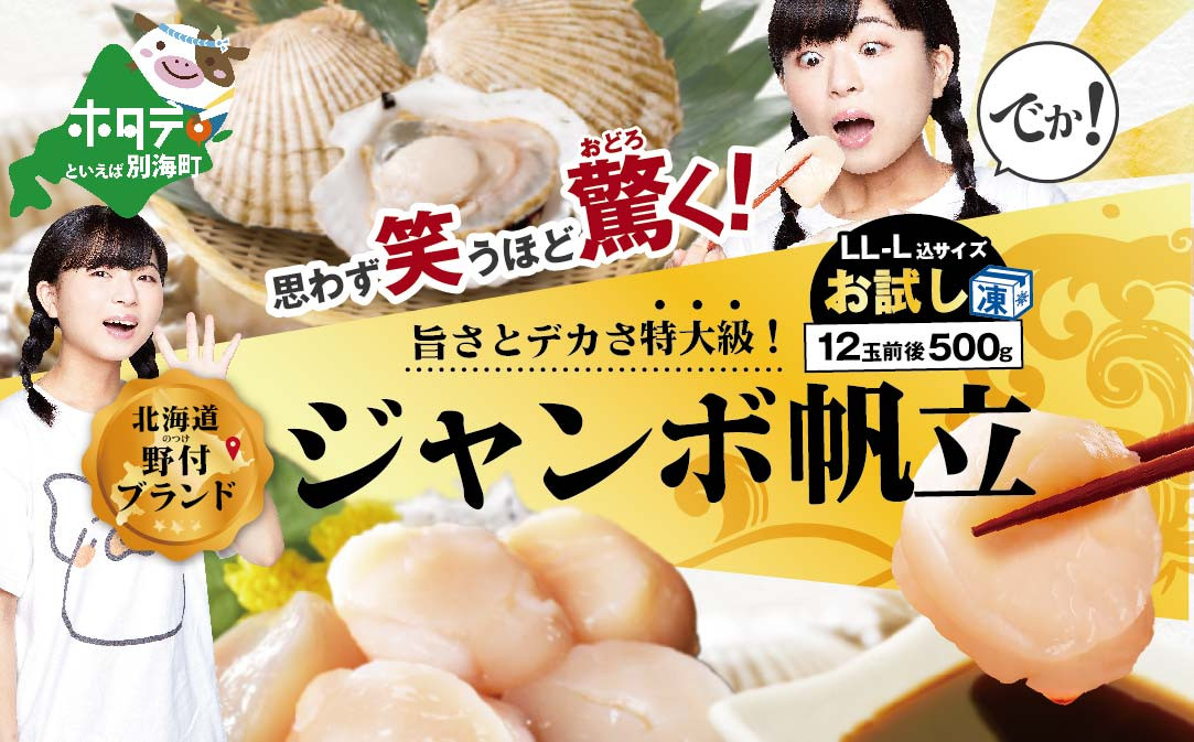 
                  思わず笑うほど驚くお試しジャンボホタテ500g　北海道 野付産 ほたて 冷凍 玉冷 （ ほたて ホタテ 帆立 貝柱 ほたて貝柱 ホタテ貝柱 北海道 野付 別海町 大粒 訳ありホタテ 訳あり ふるさとチョイス ふるさと納税 仕組み キャンペーン 限度額 計算 ランキング やり方 シミュレーション チョイス チョイスマイル ）
                