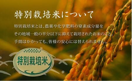 特別栽培米　稜線の風（ひとめぼれ）玄米 30kg　【2025年9月下旬頃～順次発送予定】