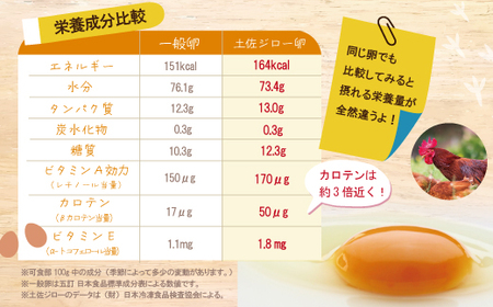 濃厚でコクのある味わい！のびのび育った土佐ジローの自然卵20個（10個入り×2パック）卵 玉子 たまご 鶏卵 土佐ジローの卵 土佐ジロー 自然卵 新鮮 旨味 濃厚 コク おいしい 自慢 こだわり卵 高