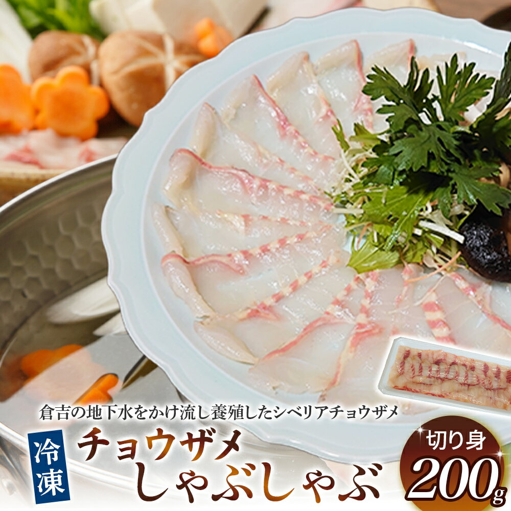 【ふるさと納税】 珍しいチョウザメのしゃぶしゃぶ！ 倉吉蝶鮫 切り身200g ／ 国産 ちょうざめ チョウザメ しゃぶしゃぶ 倉吉市