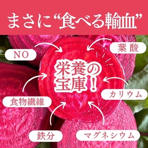 ビーツ ピューレ 150g × 3個 | 長野県 信州 飯田市
