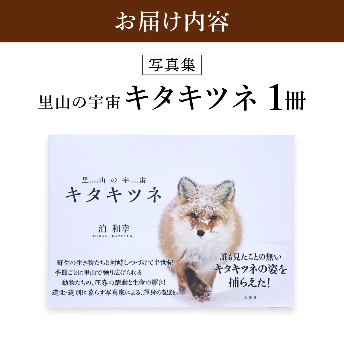 【野生塾】里山の宇宙（さとやまのくうかん）　キタキツネ【泊和幸　野生塾】
