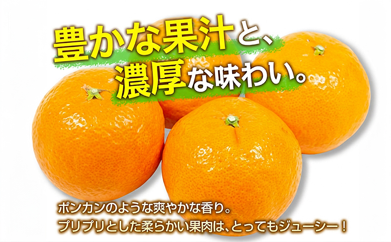 先行予約 津之輝 つのかがやき 4kg 希少 L ～ 4L フルーツ 果物 くだもの 柑橘 みかん ミカン 蜜柑 2027年 令和9年発送 国産 食品 おすすめ デザート おやつ みかんジュース ギフ