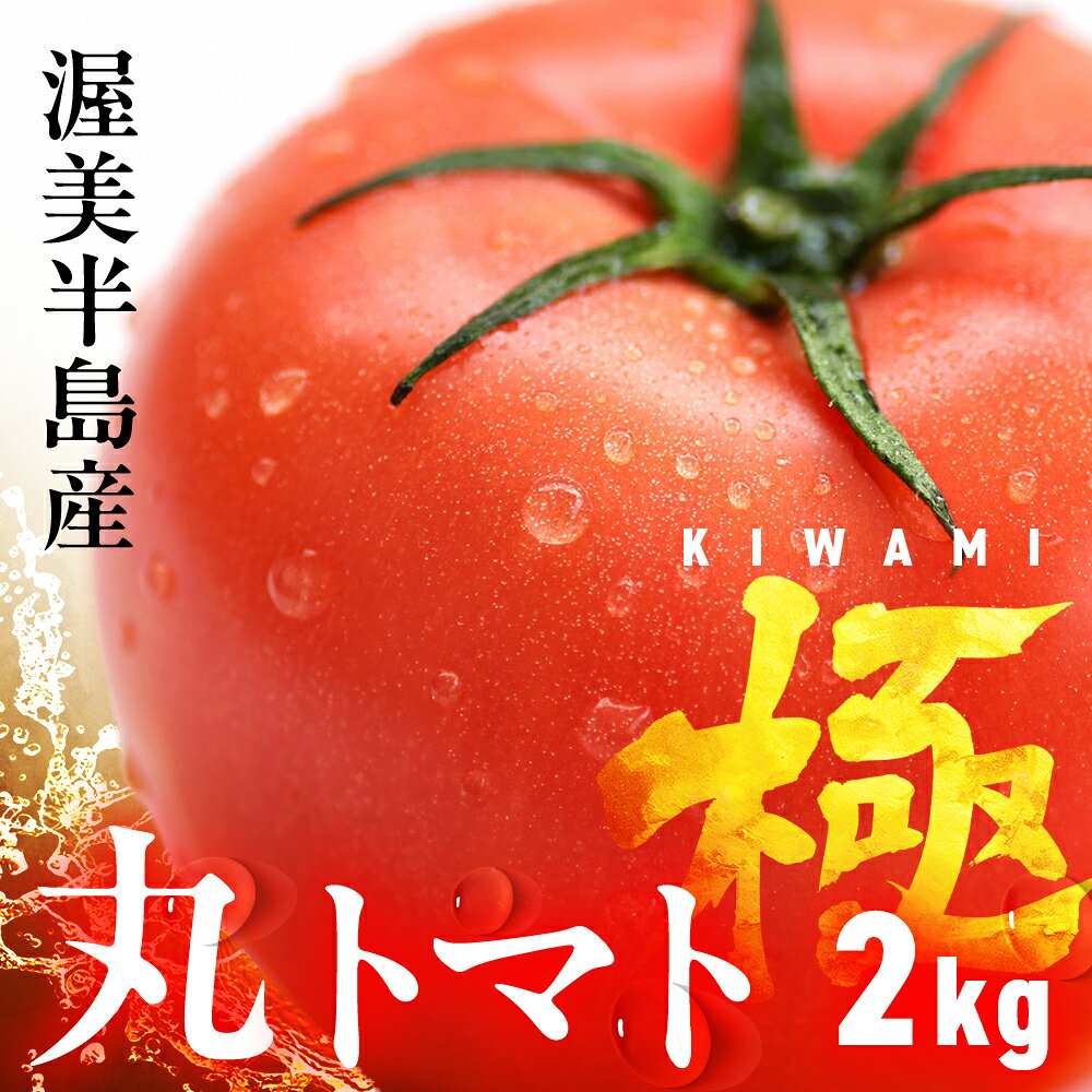 【ふるさと納税】渥美半島産 丸トマト 『極』2kg　|トマト とまと 高糖度 サラダ サンドイッチ 野菜 やさい 大玉 高糖度 贈答 プレゼント 贈り物 甘い おいしい 冬 春 極 JA 農協 JA愛知みなみ