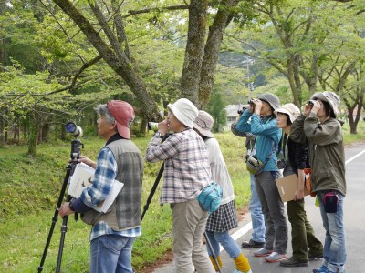 11-37 いつでもおいで四季の郷 川根本町 自然体験プログラム3000円セット