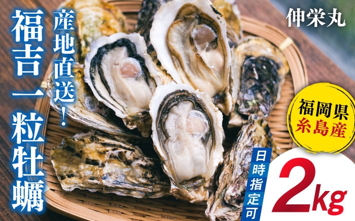 
                  【加熱用】一粒牡蠣 カキ 2kg (牡蠣ナイフ付き) 糸島産 福吉 糸島市/伸栄丸 カキの佐々木 牡蠣  殻付き カキ   [ATH001]
                