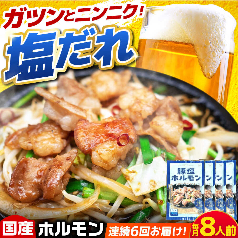 【ふるさと納税】【6回定期便】岐阜県産豚もつの鉄板焼き「元祖みたけとんちゃん」豚塩味（8人前） / モツ もつ 白もつ ホルモン / 御嵩町 / 藤よし[AVAA062]