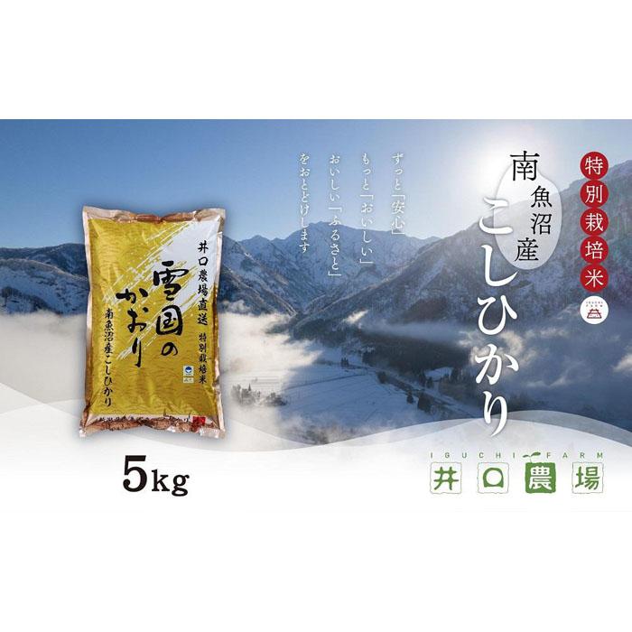 【ふるさと納税】【令和7年産 新米】南魚沼産コシヒカリ 5kg 井口農場こだわりの 特別栽培米 | お米 こめ 白米 コシヒカリ 食品 人気 おすすめ 送料無料 魚沼 南魚沼 南魚沼市 新潟県産 新潟県 精米 産直 産地直送 お取り寄せ