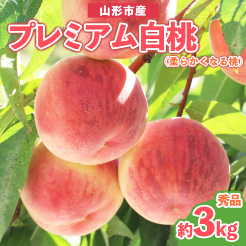 プレミアム白桃 秀品 約3kg (5～14玉) [柔らかくなる桃] 【令和8年産先行予約】 FS25-627
