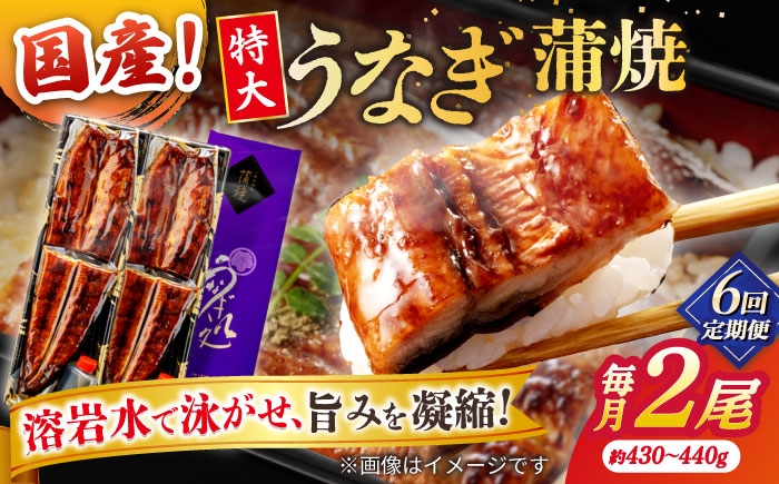 
                  【6回定期便】うなぎ老舗専門店のパリっとふっくら国産うなぎ 蒲焼2尾(蒲焼のタレ付き) 島根県松江市/株式会社山美世商会 [ALDC014]｜国産 うなぎ ウナギ 鰻 特大 蒲焼き 蒲焼 国産 冷蔵 うな重 定期便 
                