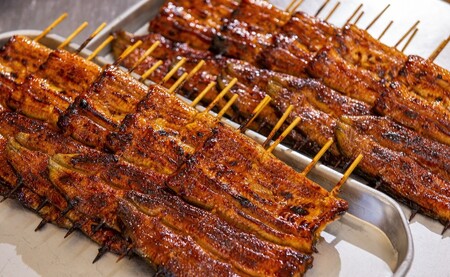うなぎ蒲焼真空パック（大）５枚入り うなぎ 蒲焼 グルメ 鰻 ウナギ ブランド 冷凍 加工品 惣菜 セット お取り寄せ 真空パック 美味しい 