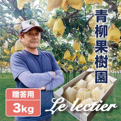 ふるさと納税 加茂市 「青柳果樹園のルレクチェ」 西洋梨 秀品贈答用 3kg(7〜9玉)|ふるさと納税 冬限定新潟の味覚