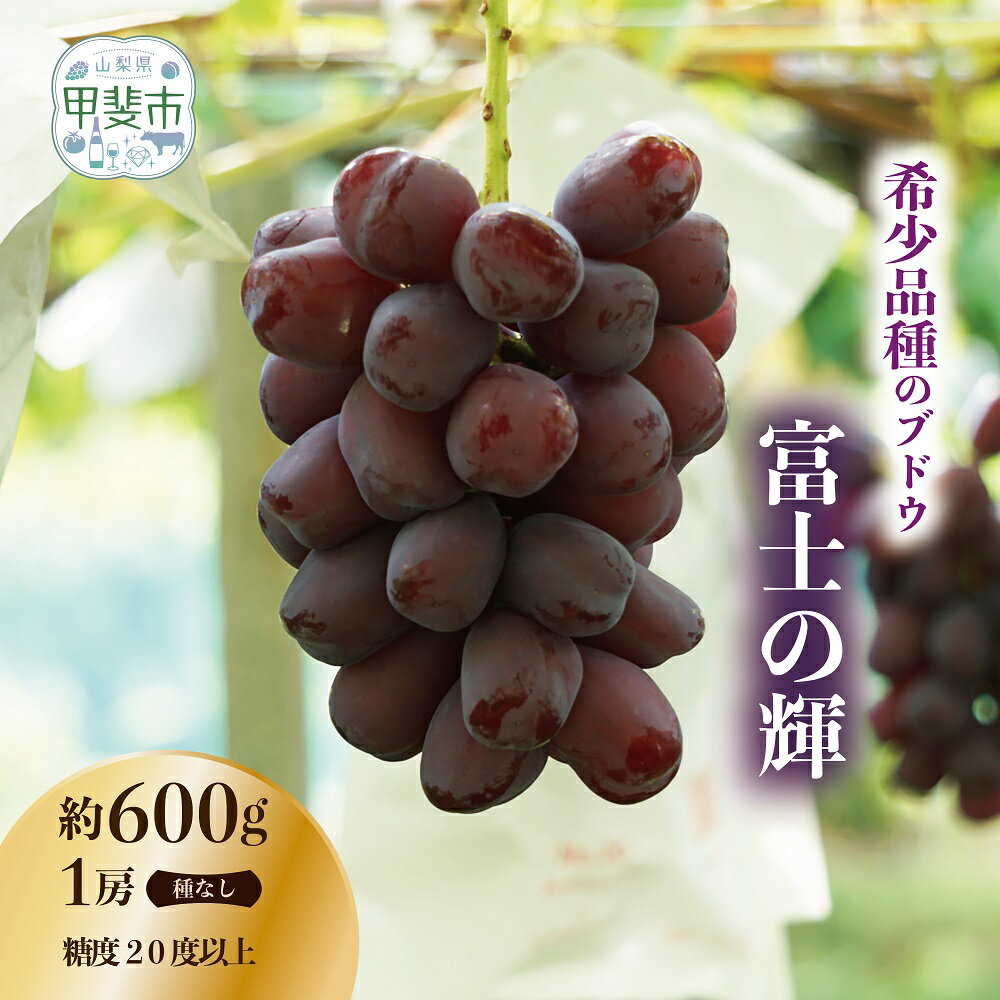 【ふるさと納税】【（2026年/令和8年）発送＜先行予約＞】希少品種　有機栽培にこだわった選りすぐりのぶどう　富士の輝　1房600g以上　山梨県産　産地直送　フルーツ　果物　ぶどう　葡萄　新鮮　おすすめ　国産　贈答　ギフト　山梨　甲斐市　CQ-1