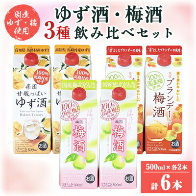 【ふるさと納税】梅酒・ゆず酒　500mlパック　6本セット(3種類×各2本)【1139985】
