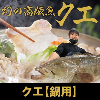 ふるさと納税 土佐清水市 【冷凍】簡単鍋用 天然クエ 600g (2〜3人前) 海鮮鍋 高級魚 しゃぶしゃぶ【R01584】