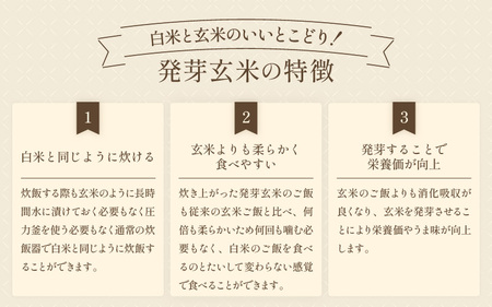 【令和7年産】発芽玄米 ミルキークイーン 5kg 無洗米 米 玄米 [B-2955] 