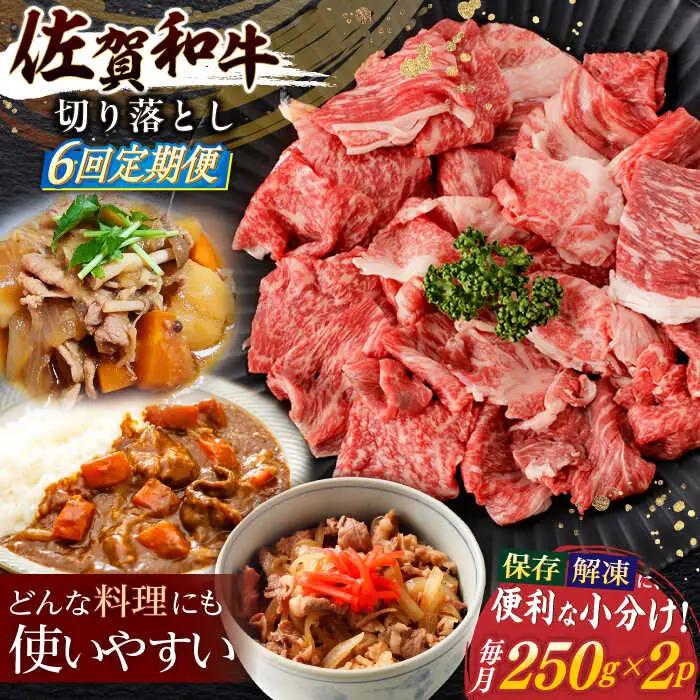 【定期便】牛肉切り落とし 計500g NAC163 牛肉切り落とし 全6回