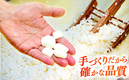 2種のチーズを食べ比べ！チーズ2個セット（プロボローネチーズ・ゴーダチーズ） 島根県雲南市/木次乳業有限会社 [AIBH009]