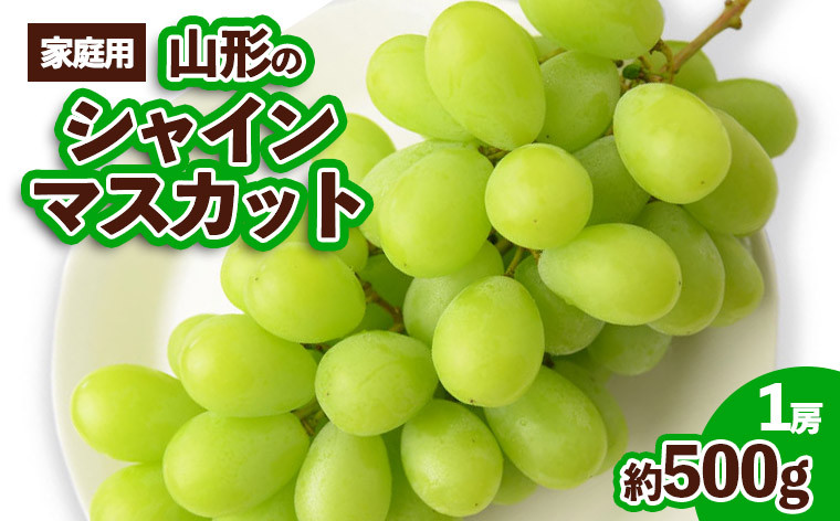 
【ご家庭用】山形のシャインマスカット 優品 1房 約500g 【令和6年産先行予約】FS23-647
